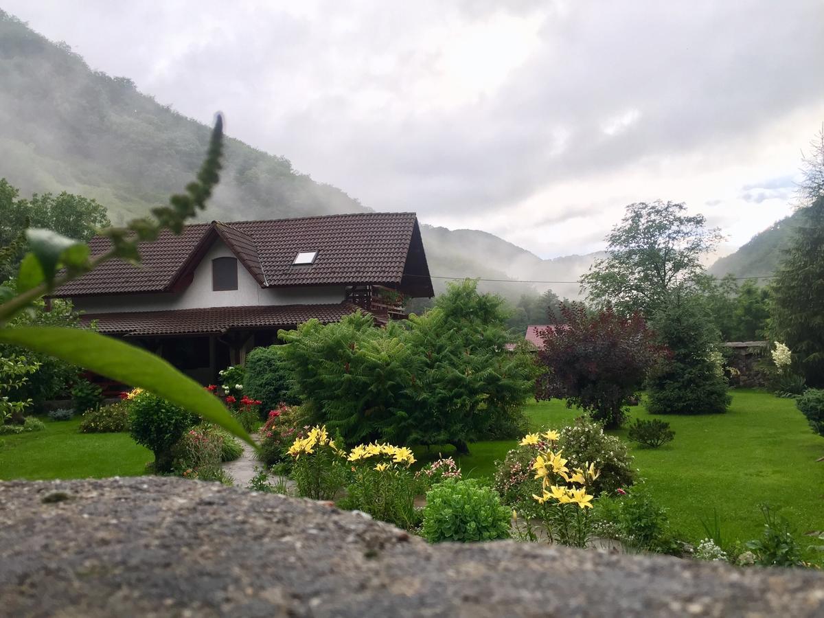 Casa de Piatra Villa Strungari Exterior foto